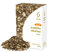 Andělika lékařská - kořen