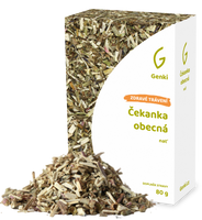 Čekanka obecná - nať