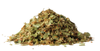 Lípa velkolistá - květ