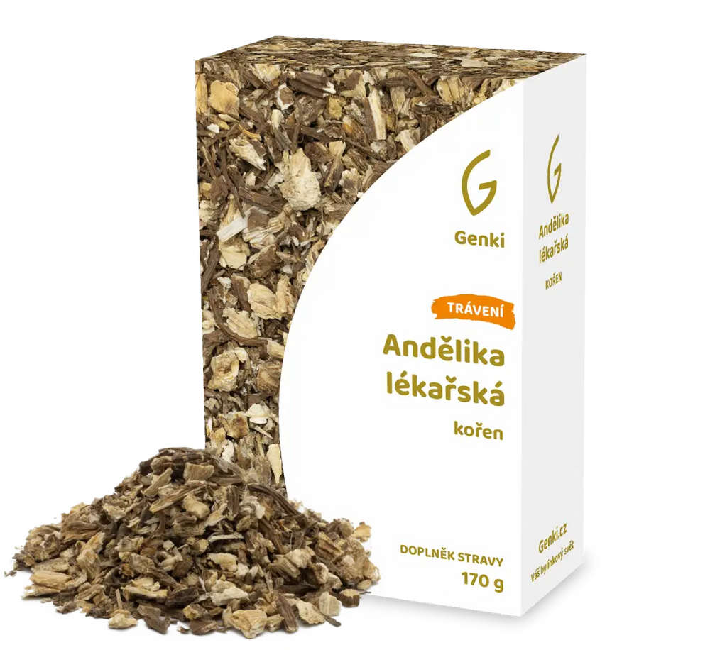 Andělika lékařská