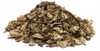 Andělika lékařská