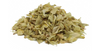 Chmel otáčivý