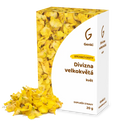 Divizna velkokvětá