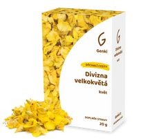 Divizna velkokvětá - květ