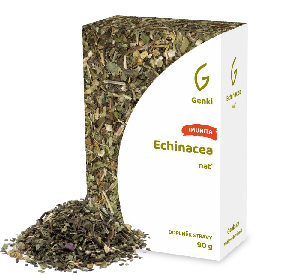 Třapatka nachová (Echinacea)