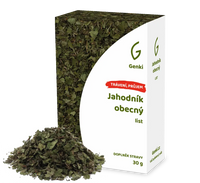 Jahodník obecný