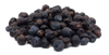 Jalovec obecný
