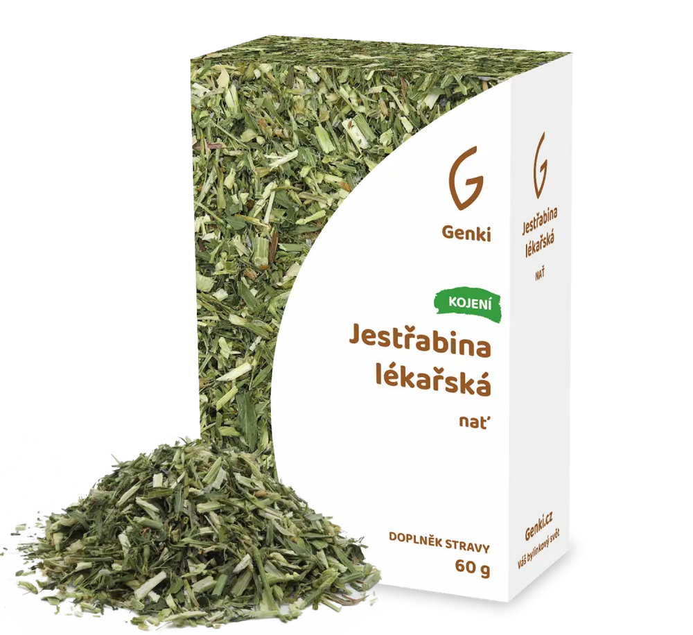 Jestřabina lékařská
