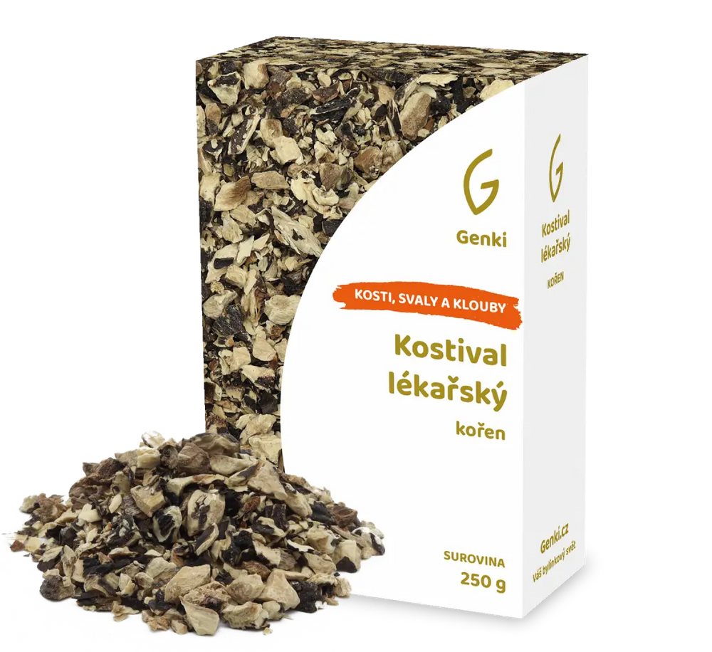 Kostival lékařský