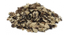 Kostival lékařský