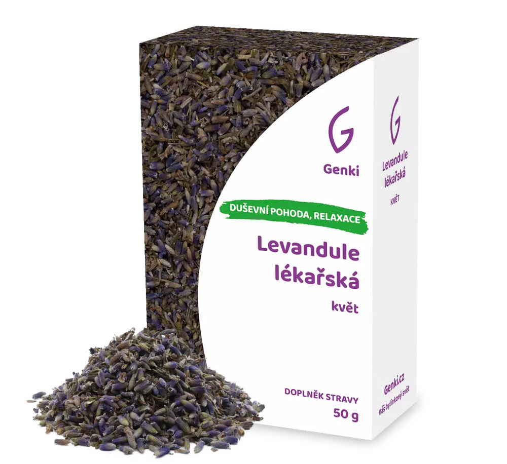 Levandule lékařská