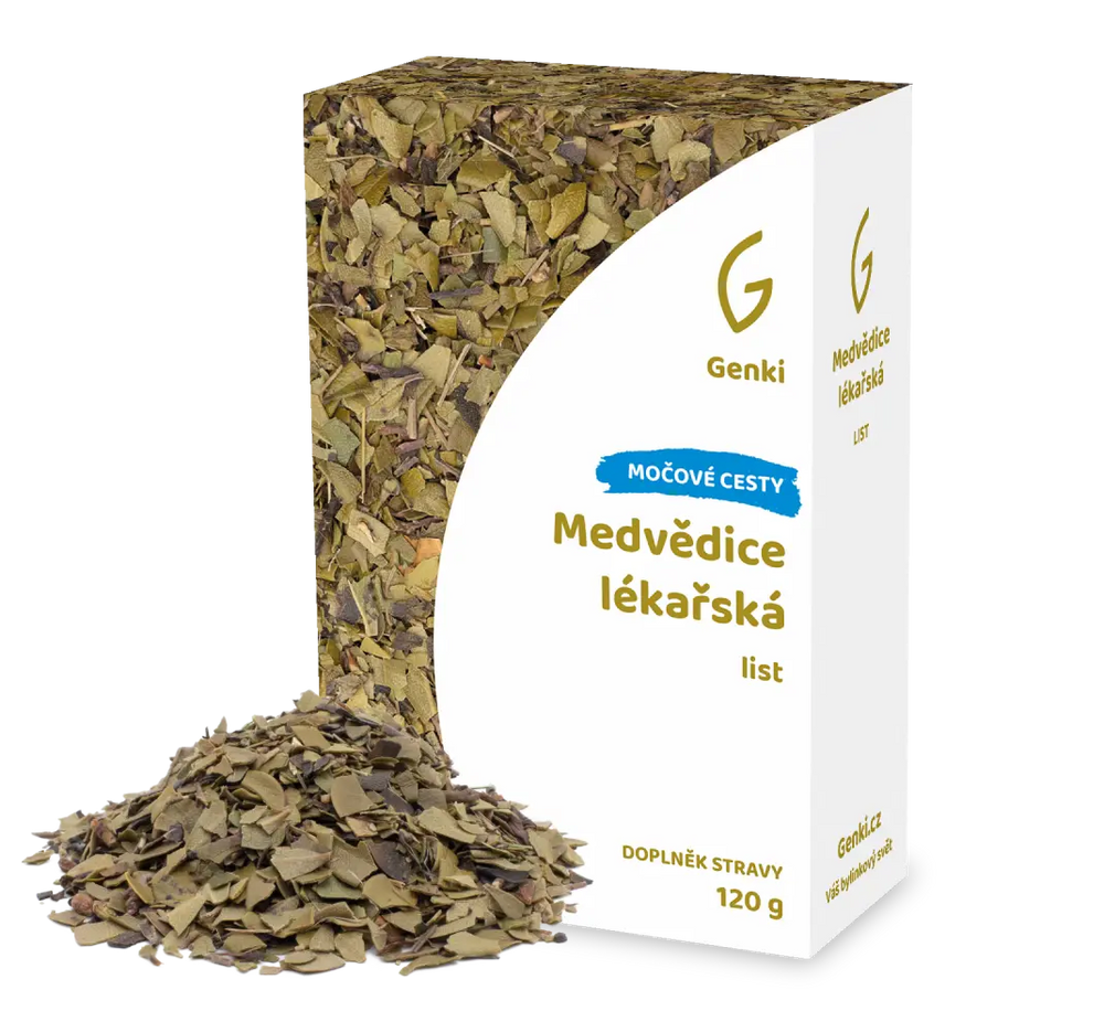 Medvědice lékářská