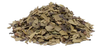 Medvědice lékářská