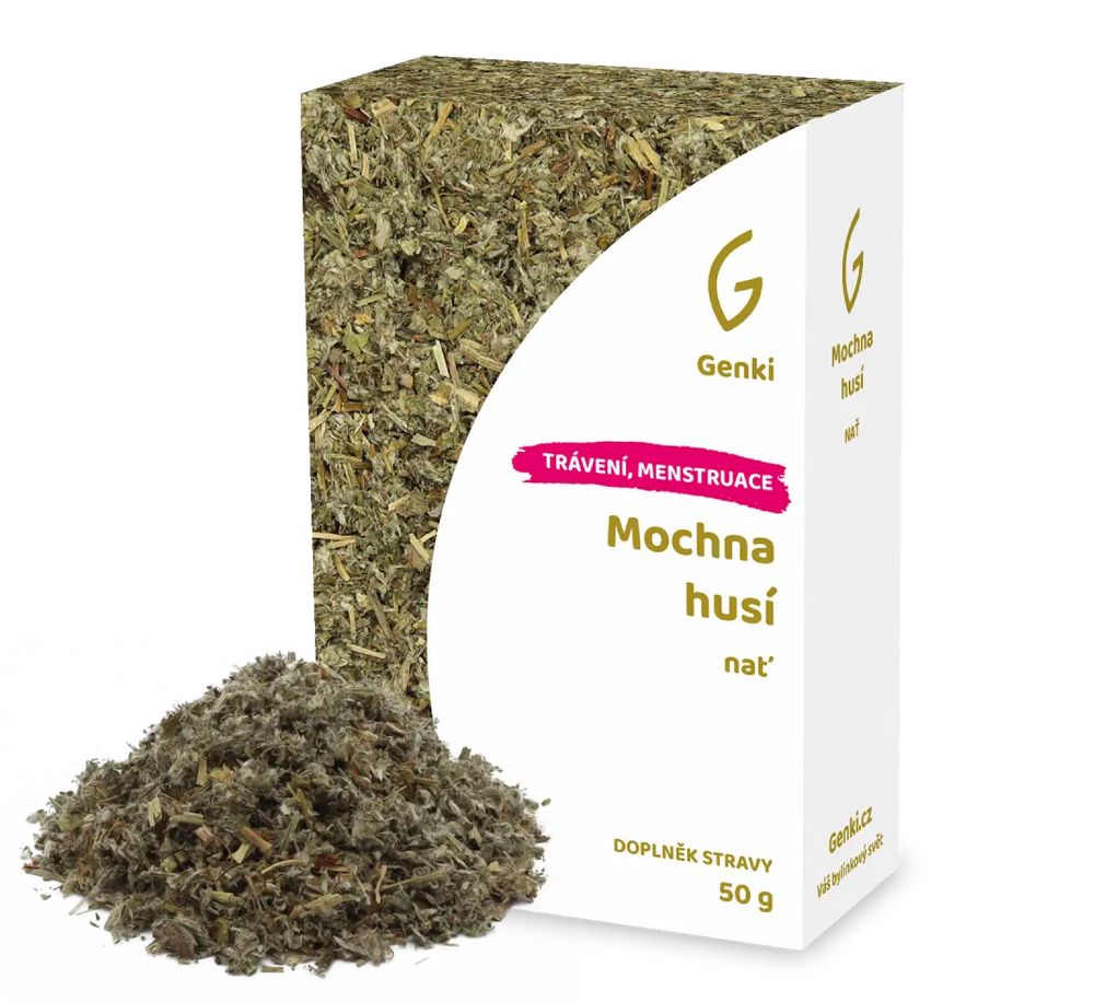 Mochna husí