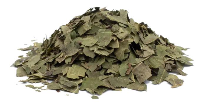 Ořešák královský