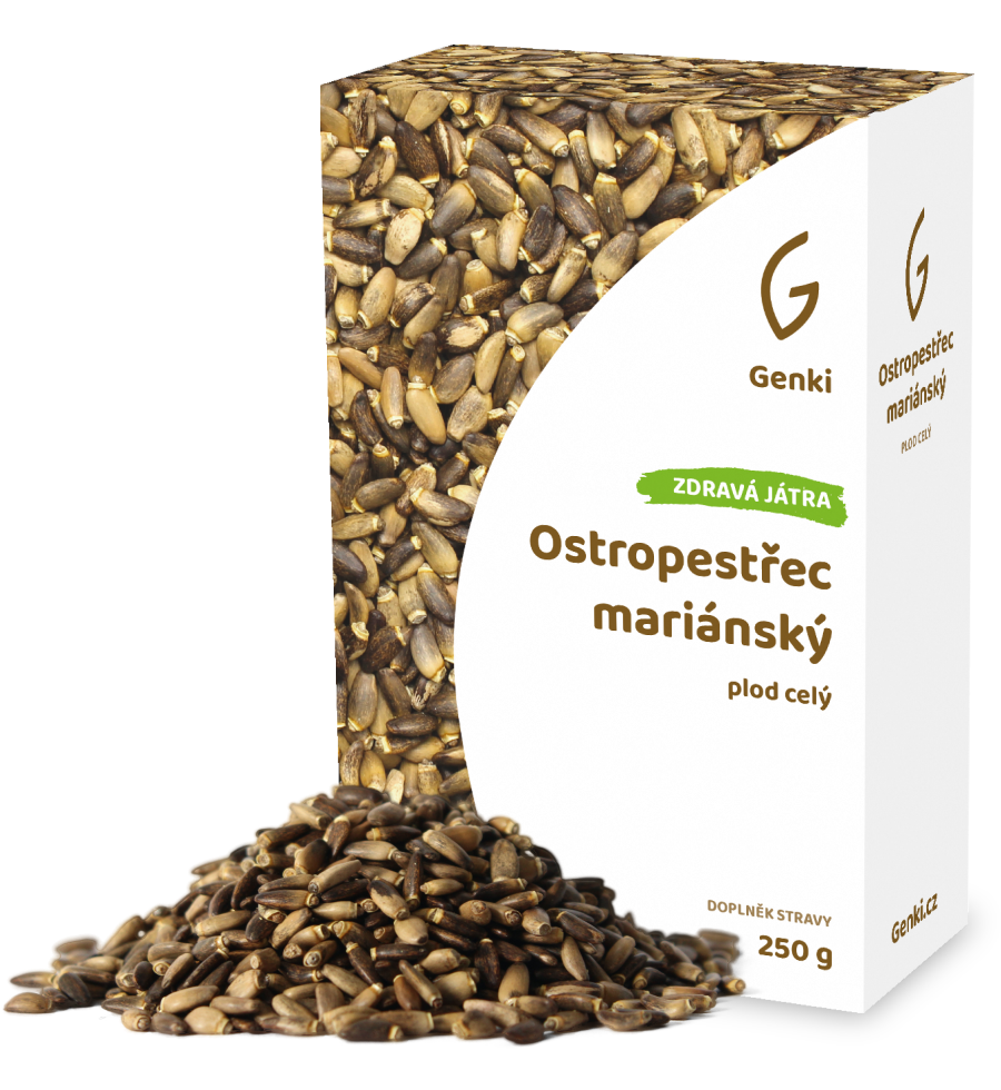 Ostropestřec mariánský