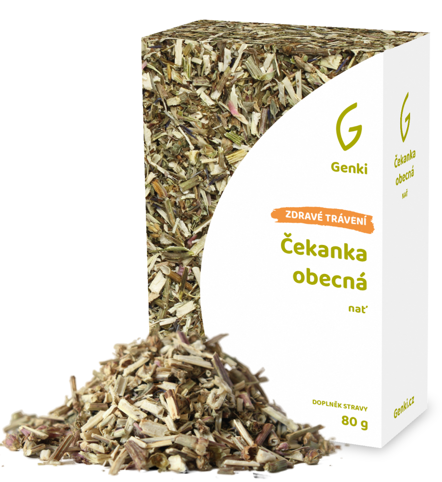 Čekanka obecná
