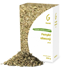 Fenykl obecný - plod