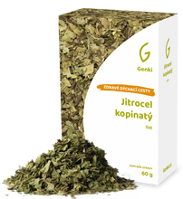 Jitrocel kopinatý - nať