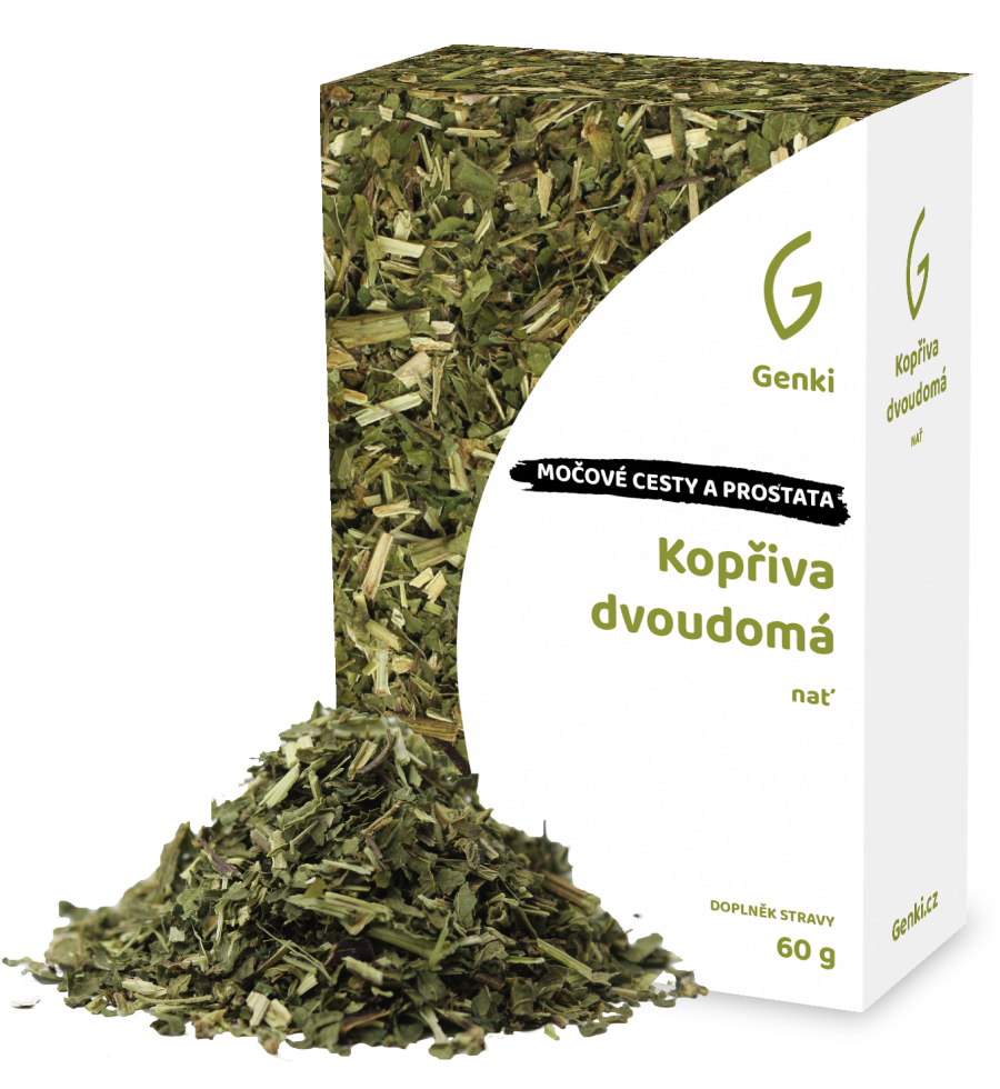 Kopřiva dvoudomá