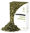 Kopřiva dvoudomá