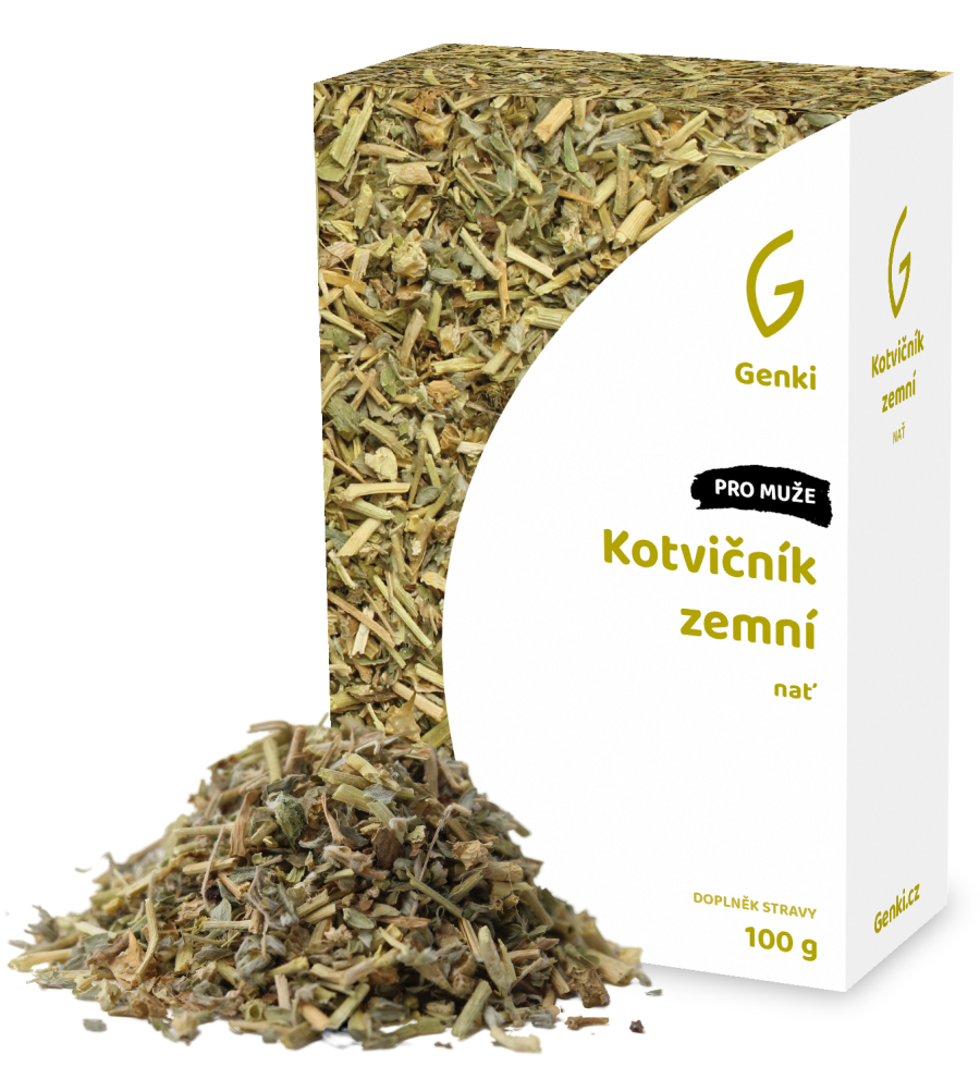 Kotvičník zemní