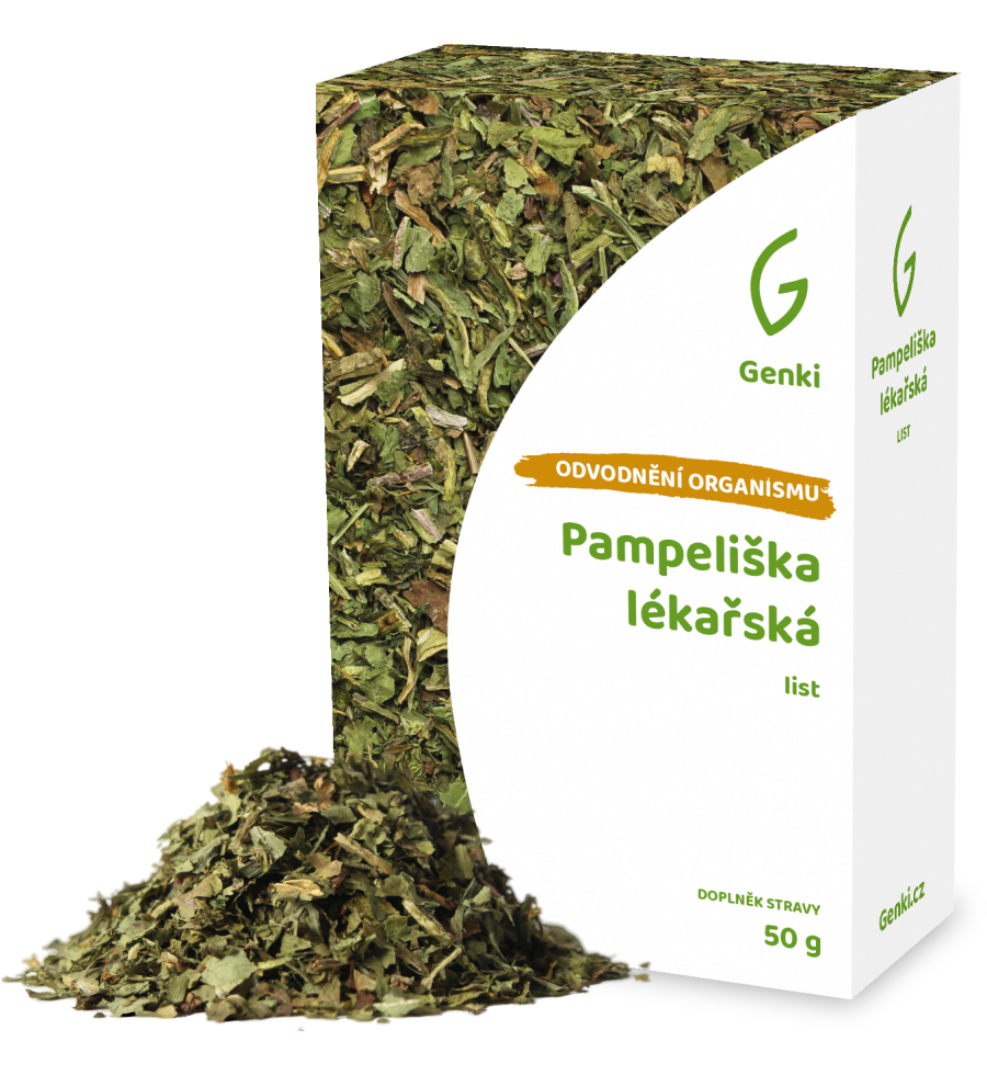 Pampeliška lékařská