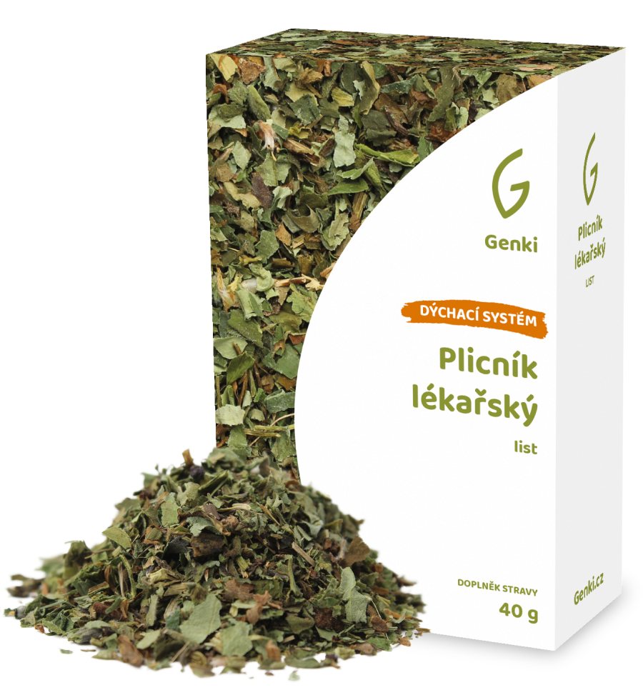 Plicník lékařský