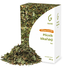 Plicník lékařský - list