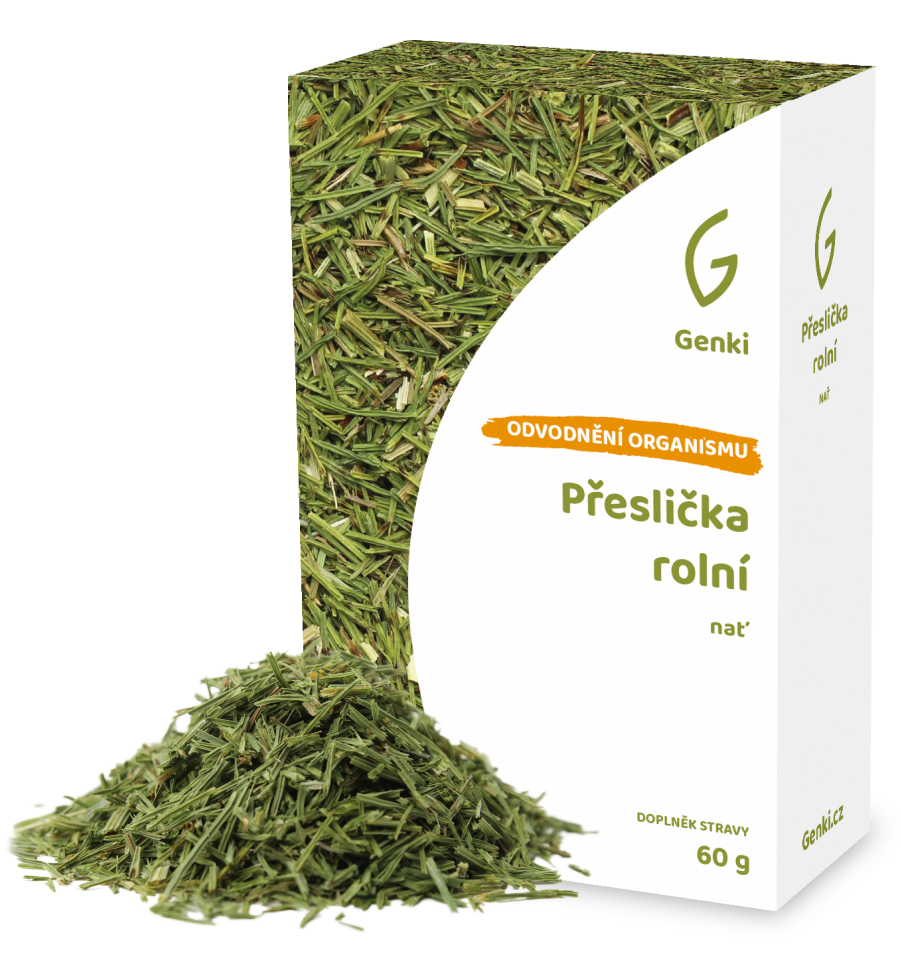 Přeslička rolní