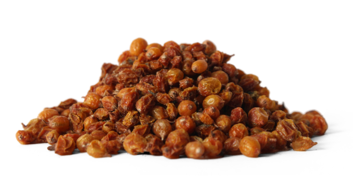 Rakytník řešetlákový