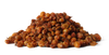 Rakytník řešetlákový