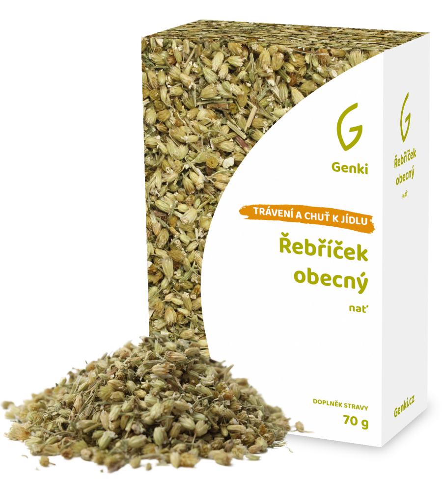 Řebříček obecný