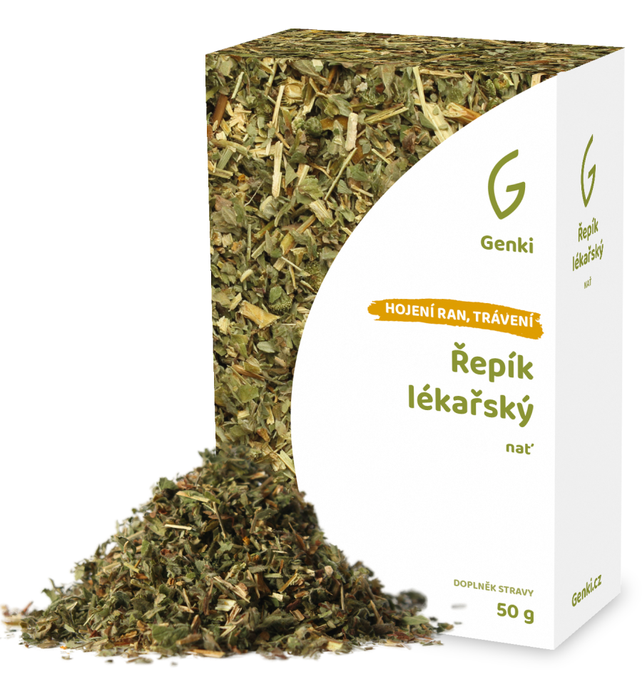 Řepík lékařský