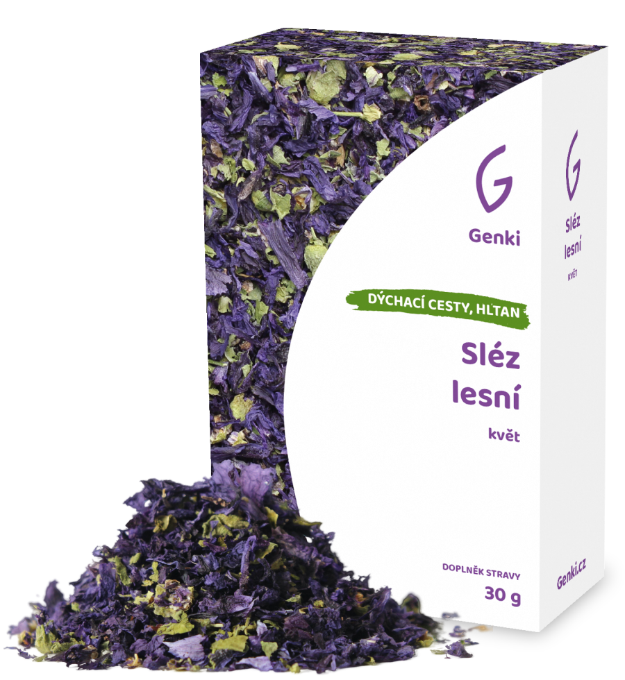 Sléz lesní