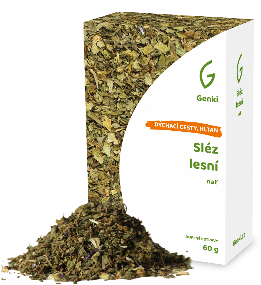 Sléz lesní